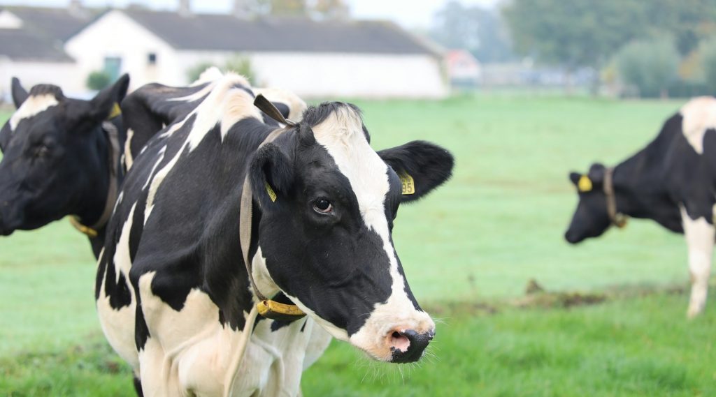 Ag Progress Days event aimed at dairy farm participation in climate-smart program