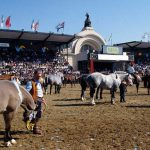 Argentine breeders in UK tour of meat and dairy technology centres