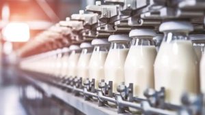 China opens anti-subsidy probe into imported dairy products from EU