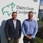 Dairy goat farmers hopeful co-op will turn a corner