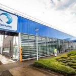 Danone beats forecasts as shoppers return to brands