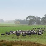 Farm Focus data highlights shifting landscape of on-farm costs