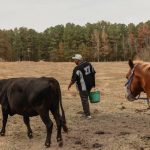 Federal aid addresses discrimination for thousands of farmers after years of delay