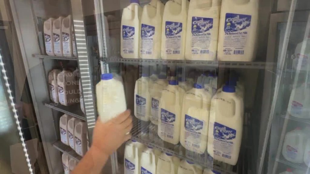 Feeding Tampa Bay and dairy farmers team up to help families in need