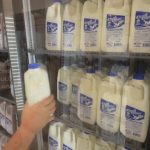 Feeding Tampa Bay and dairy farmers team up to help families in need