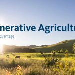 Fonterra accused of 'greenwashing' to impress big foreign buyers keen on 'regenerative agriculture'