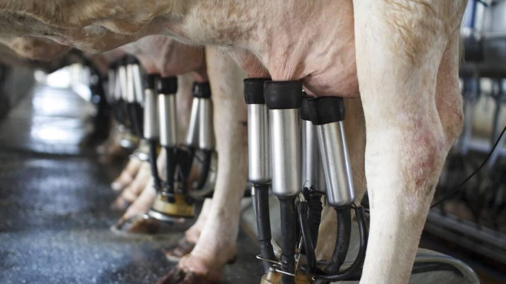 Hacking-your-milking-parlour-Farms-are-the-next-target-of-cybercriminals