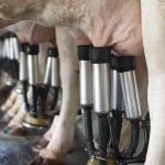 Hacking-your-milking-parlour-Farms-are-the-next-target-of-cybercriminals