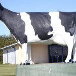 Hāwera’s famous cow statue vandalised