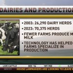 How has milk production increased while the number of dairy herds has decreased