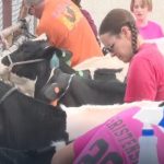 Idaho dairy community keeps dairy front and center at the fair