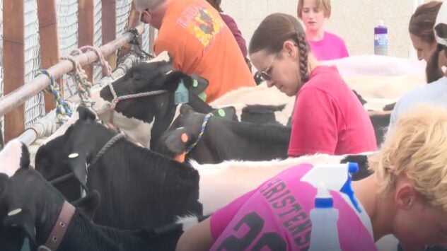 Idaho dairy community keeps dairy front and center at the fair