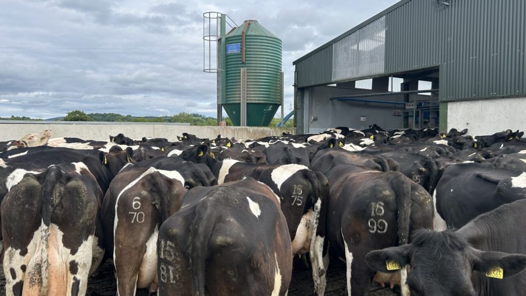 Milk price tracker Prices continued to improve in June