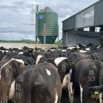 Milk price tracker Prices continued to improve in June