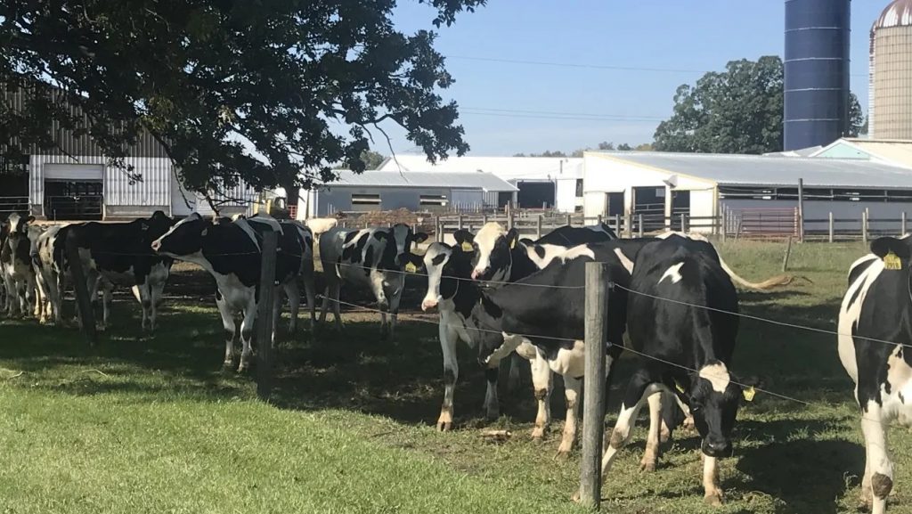 Milk processors expand in New York, Wisconsin