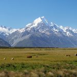 New Zealand scraps clean, green policies to boost economy