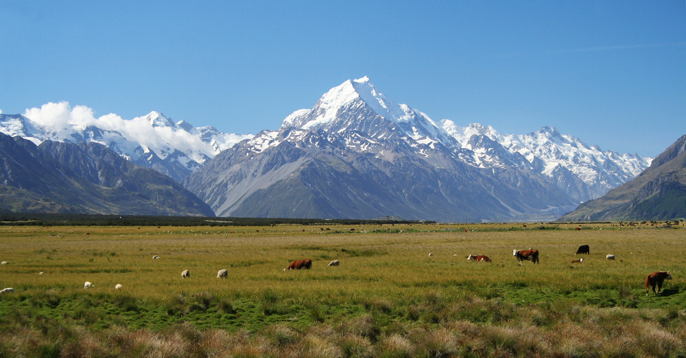 New Zealand scraps clean, green policies to boost economy