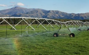 Nitrogen cap cuts leaching from Southland dairy farms