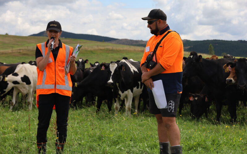 Organics the natural choice for Pāmu