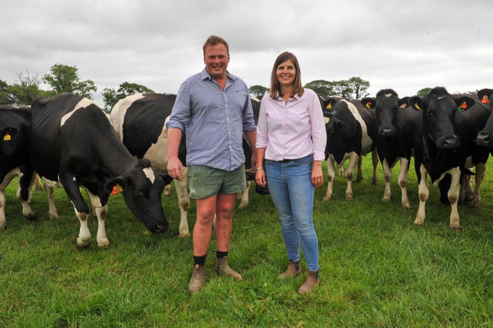 Seaweed in your milk - a tasty option for your dairy herd