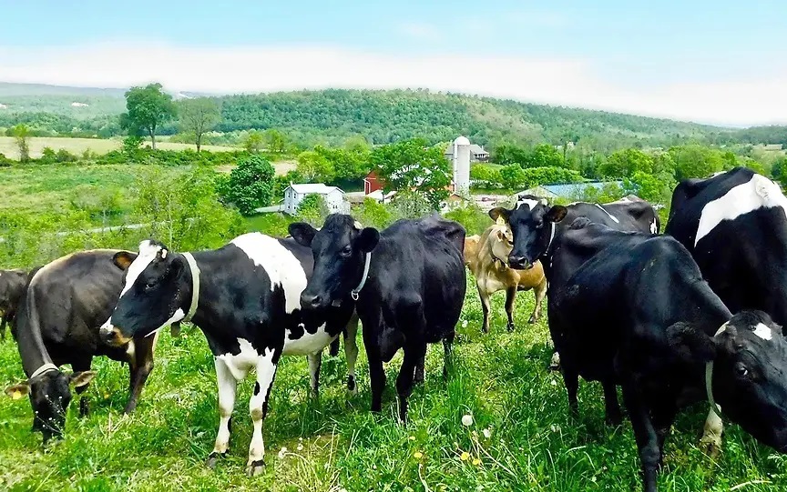 State $$$ to help Newark dairy upgrade filling machines