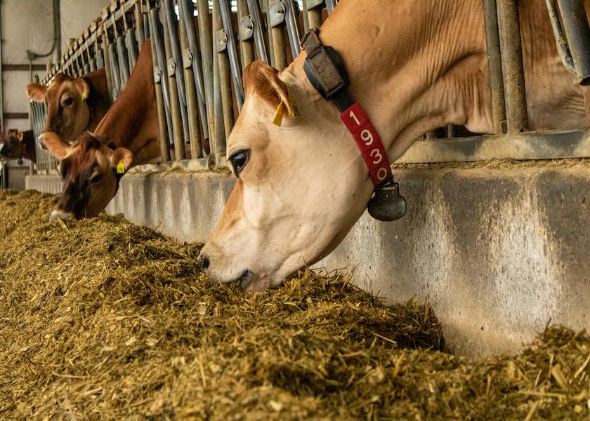 Will Milk Prices Actually Increase or Continue to Stay Rangebound