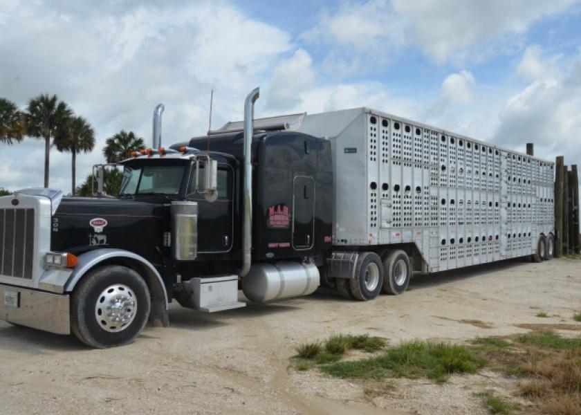 Will the Decline in Dairy Culling Continue