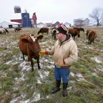 Wisconsin farm product prices decline in June