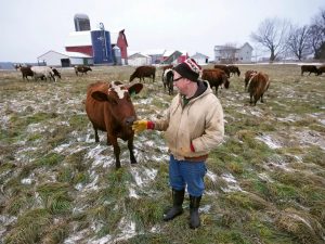 Wisconsin farm product prices decline in June