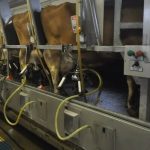 August Milk Production in Ohio Up Slightly