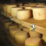 Australian cheese production projected at 435,000 tons