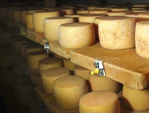 Australian cheese production projected at 435,000 tons