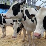 Canadian Dairy XPO purchased by German group