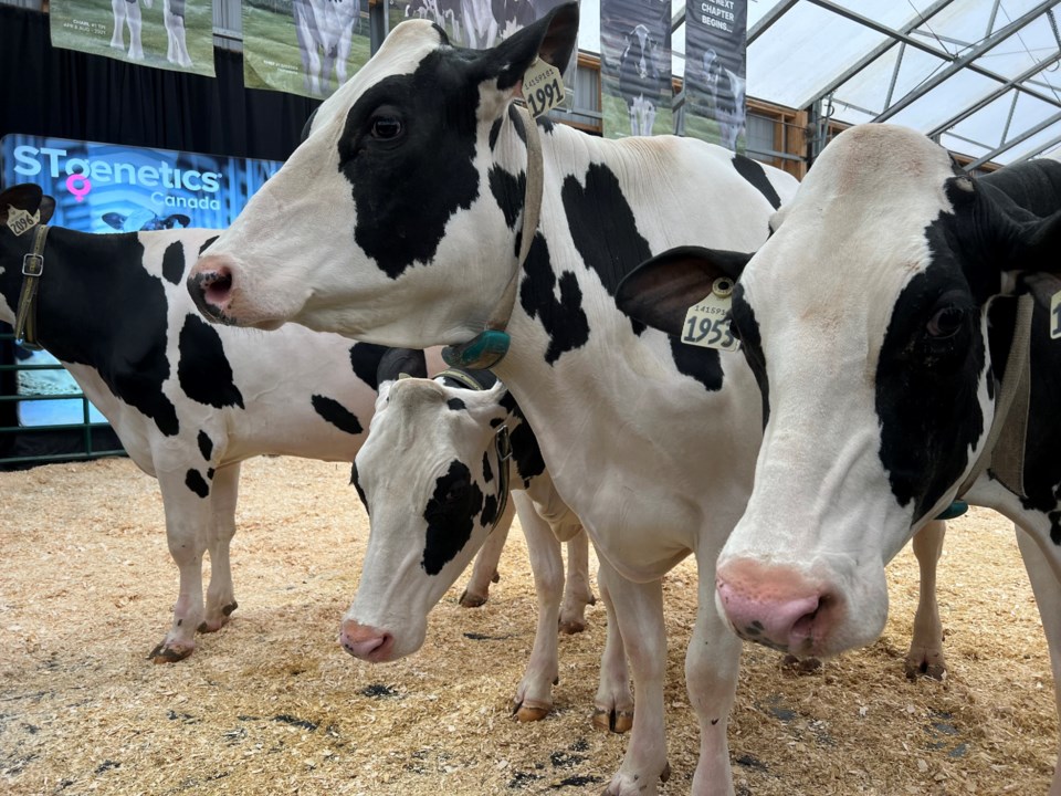 Canadian Dairy XPO purchased by German group