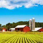 Democrats and Republicans have failed American farmers − and your dinner table