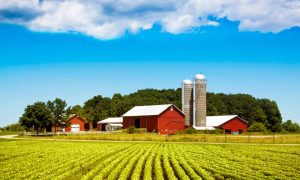 Democrats and Republicans have failed American farmers − and your dinner table