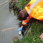 Farmer fined $300,000 for dairy effluent breaches