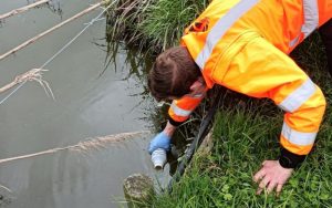 Farmer fined $300,000 for dairy effluent breaches