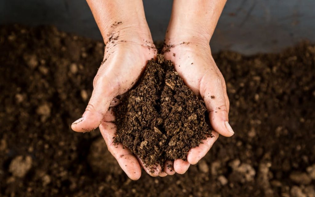 Is the heat about to go on Fonterra over farming on drained peat