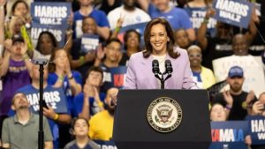 Kamala Harris’ “price gouging” ban appears a solution in search of a problem