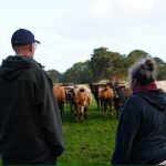 King Island Dairy shutdown looms for workers considering their futures on the Bass Strait island