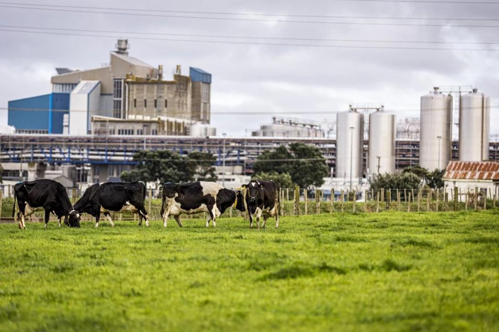 New $150m cool store project welcome news for South Taranaki