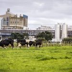 New $150m cool store project welcome news for South Taranaki