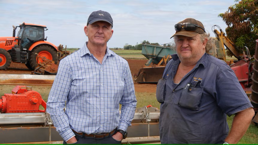 Queensland Food Farmers Commissioner to take on major supermarkets Coles and Woolworths