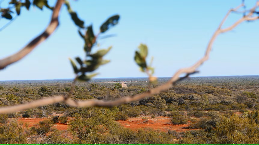 Queensland Rural Debt Survey shows debt has risen 8.2 per cent in three years