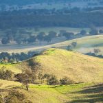 Rains lift Australian farm confidence, Rabobank survey shows