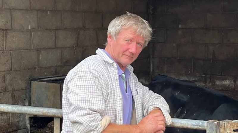 TB dairy herd facing slaughter as farmer retires