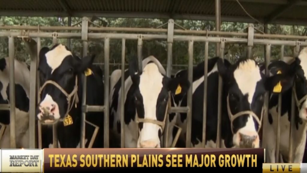 Varying dairy concumption trends has lead to major growth in the Texas Southern Plains