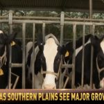 Varying dairy concumption trends has lead to major growth in the Texas Southern Plains