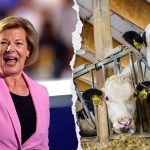 Wisconsin dairy farmer fact checks Democrat Senator Tammy Baldwin's 'coattail' claim that she has their 'back